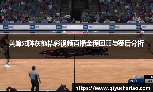 黄蜂对阵灰熊精彩视频直播全程回顾与赛后分析